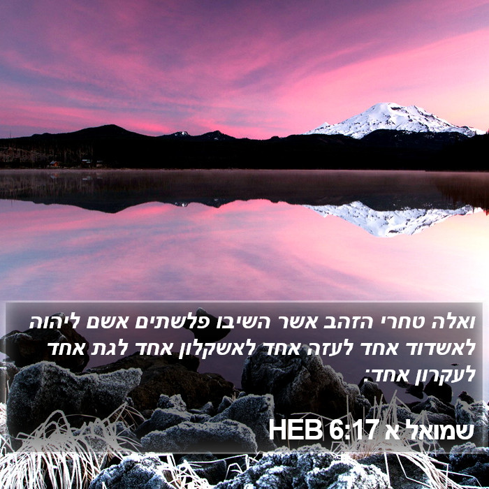 שמואל א 6:17 HEB Bible Study