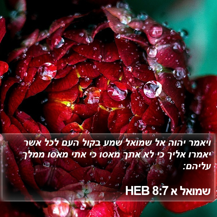 שמואל א 8:7 HEB Bible Study