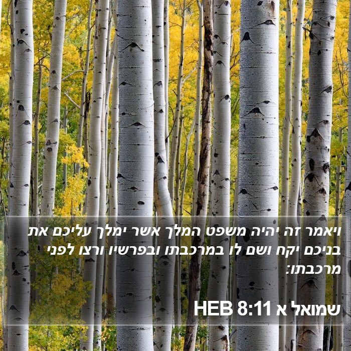 שמואל א 8:11 HEB Bible Study