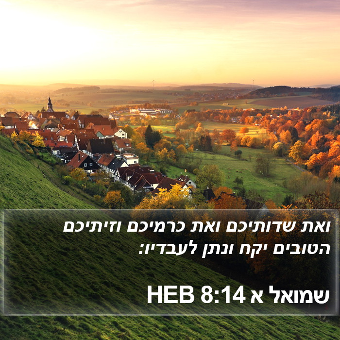 שמואל א 8:14 HEB Bible Study