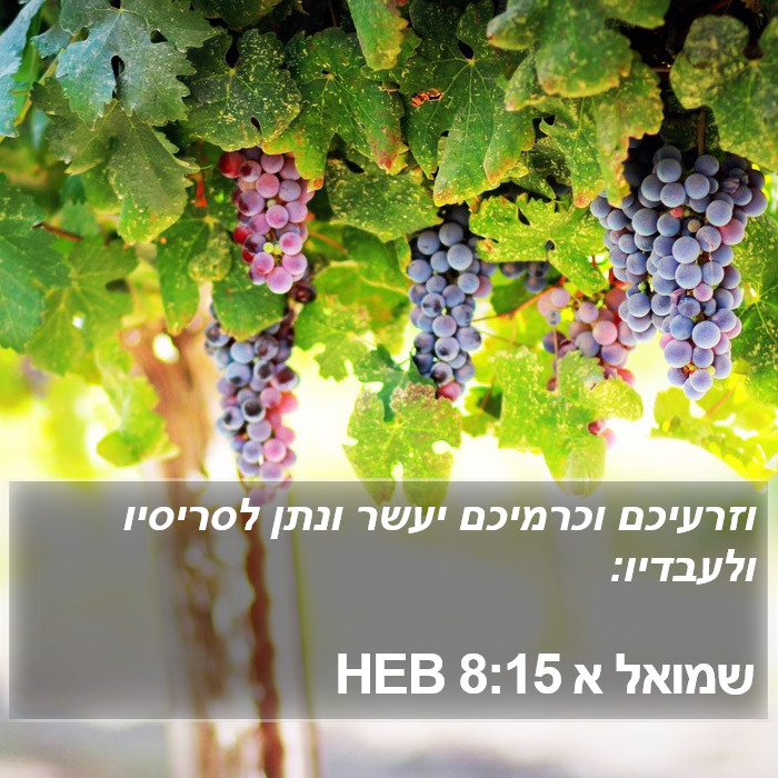 שמואל א 8:15 HEB Bible Study