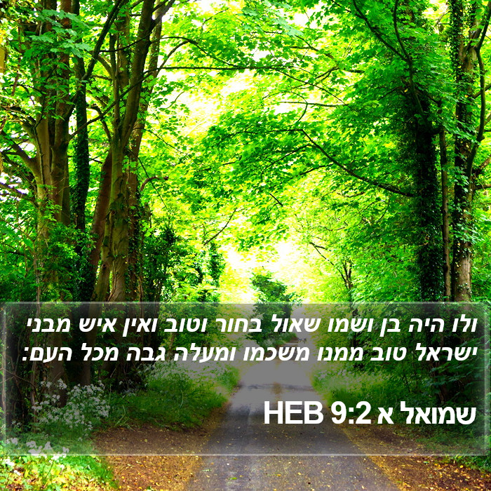 שמואל א 9:2 HEB Bible Study