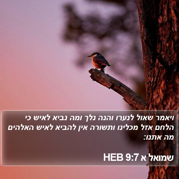 שמואל א 9:7 HEB Bible Study