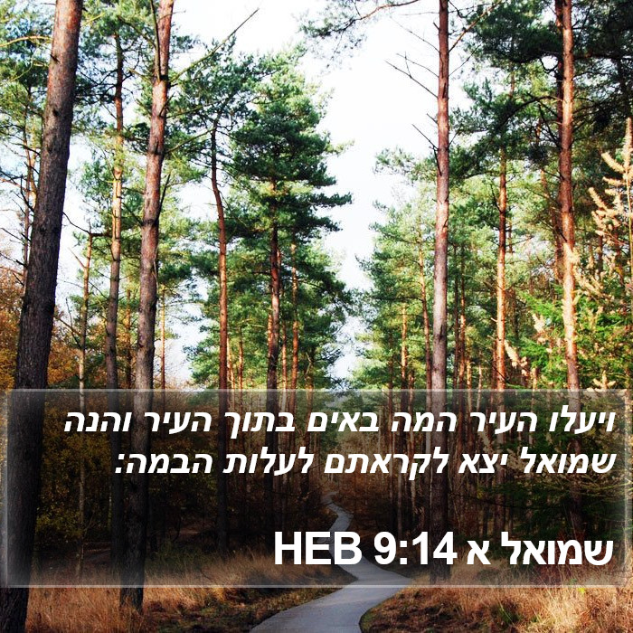 שמואל א 9:14 HEB Bible Study