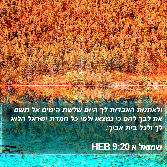 שמואל א 9:20 HEB Bible Study