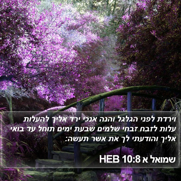 שמואל א 10:8 HEB Bible Study