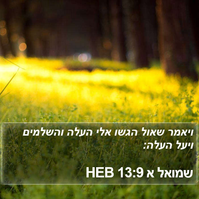 שמואל א 13:9 HEB Bible Study