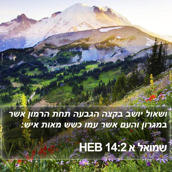 שמואל א 14:2 HEB Bible Study