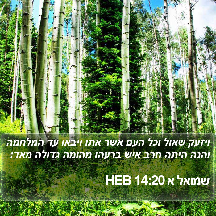 שמואל א 14:20 HEB Bible Study