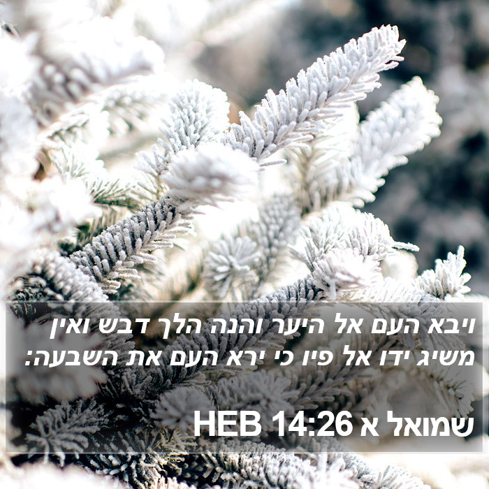 שמואל א 14:26 HEB Bible Study