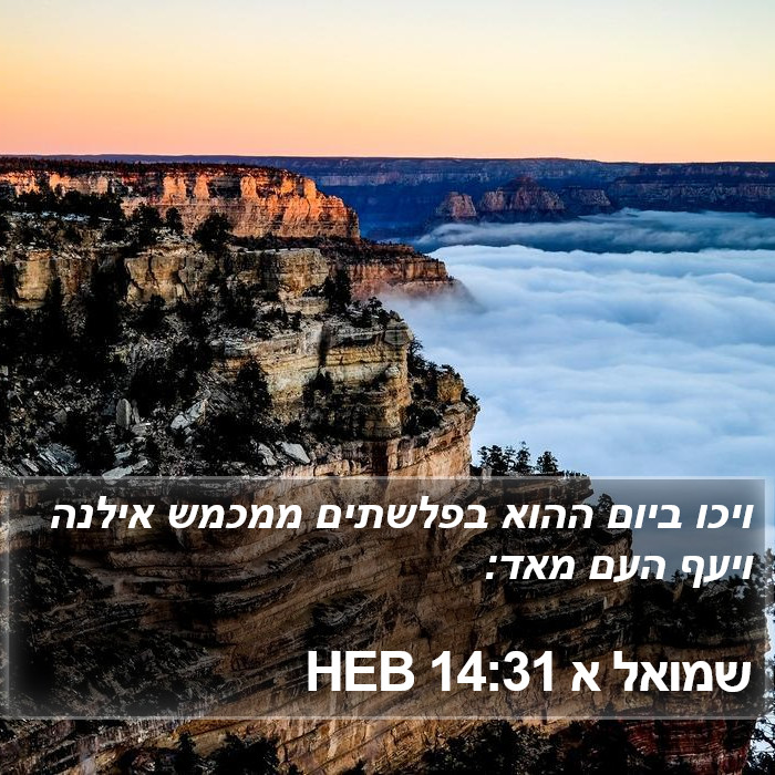 שמואל א 14:31 HEB Bible Study