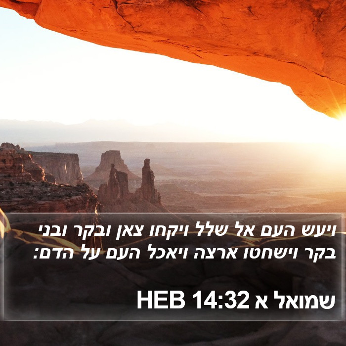 שמואל א 14:32 HEB Bible Study