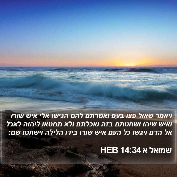 שמואל א 14:34 HEB Bible Study