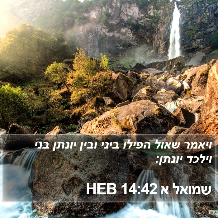 שמואל א 14:42 HEB Bible Study