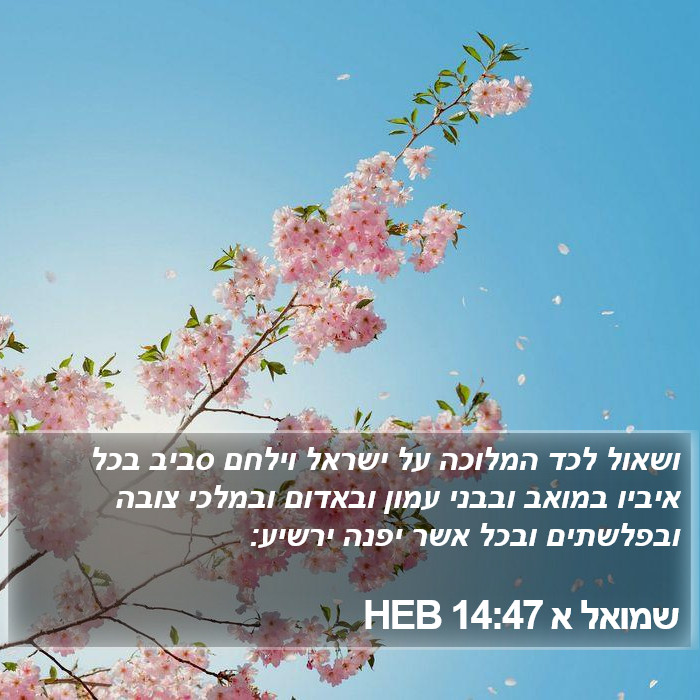 שמואל א 14:47 HEB Bible Study