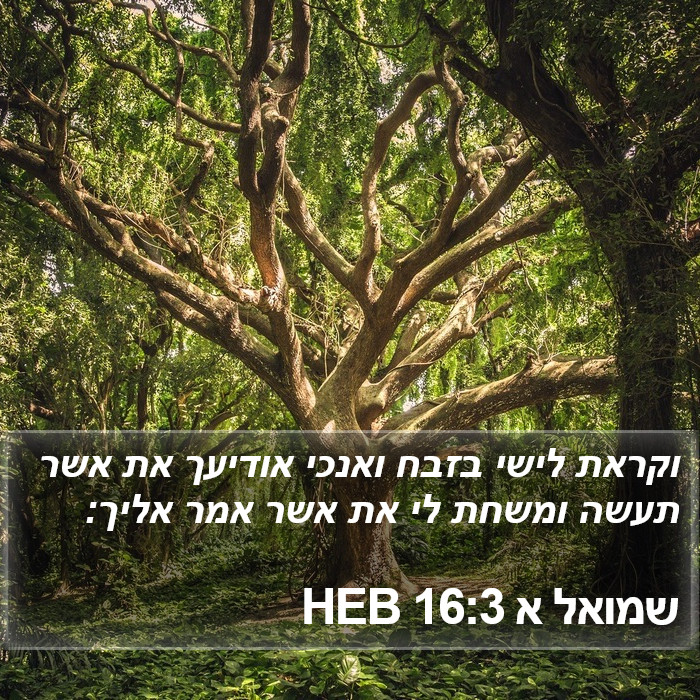 שמואל א 16:3 HEB Bible Study