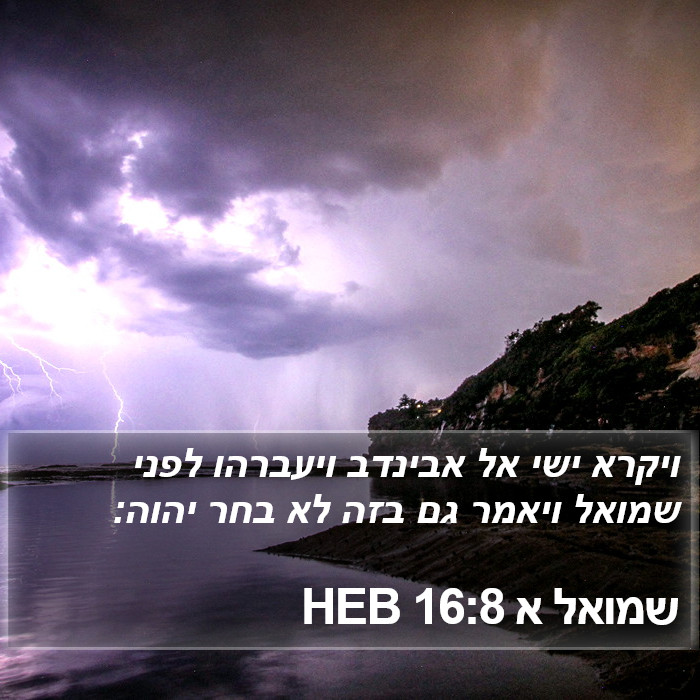 שמואל א 16:8 HEB Bible Study