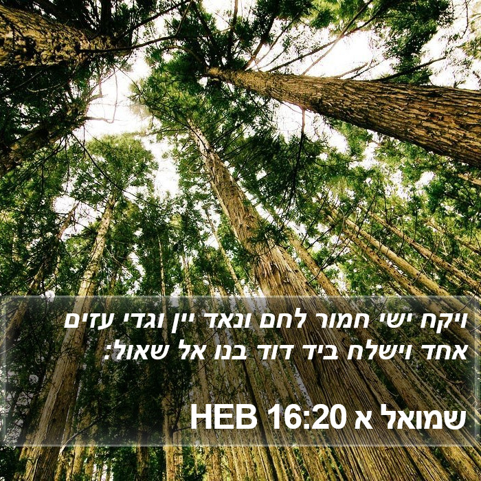 שמואל א 16:20 HEB Bible Study