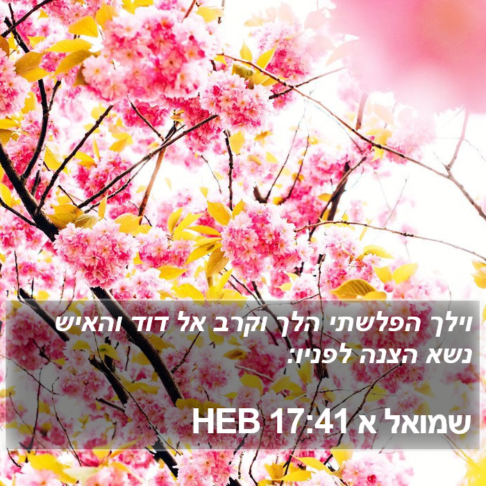 שמואל א 17:41 HEB Bible Study