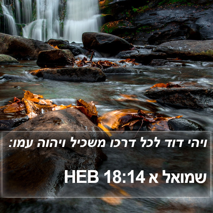 שמואל א 18:14 HEB Bible Study