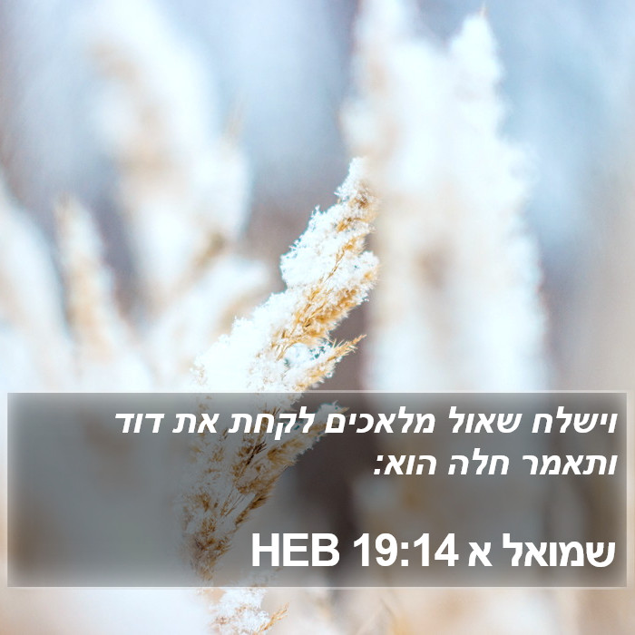 שמואל א 19:14 HEB Bible Study