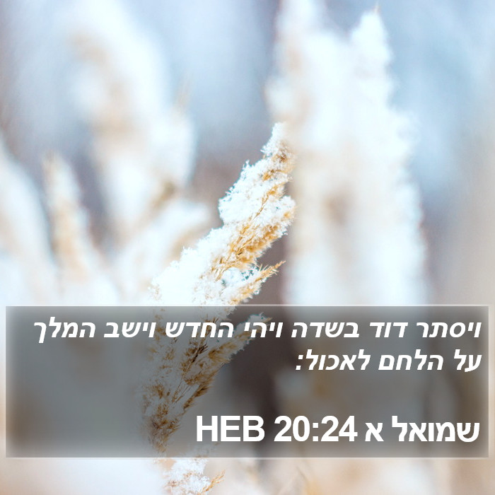 שמואל א 20:24 HEB Bible Study