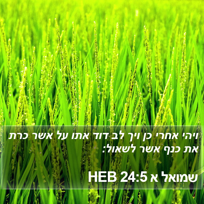 שמואל א 24:5 HEB Bible Study