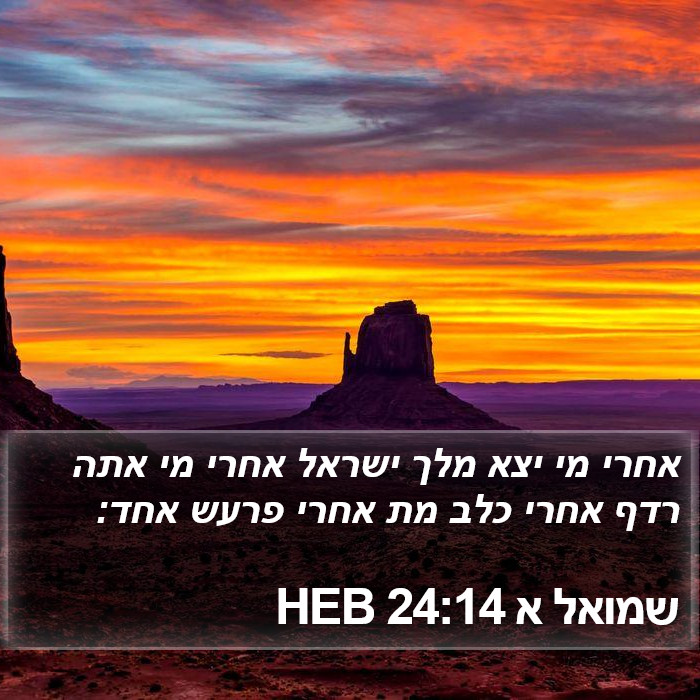 שמואל א 24:14 HEB Bible Study