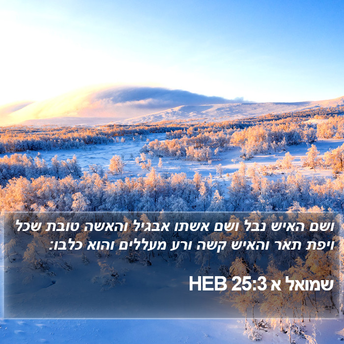 שמואל א 25:3 HEB Bible Study