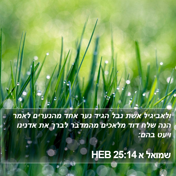 שמואל א 25:14 HEB Bible Study