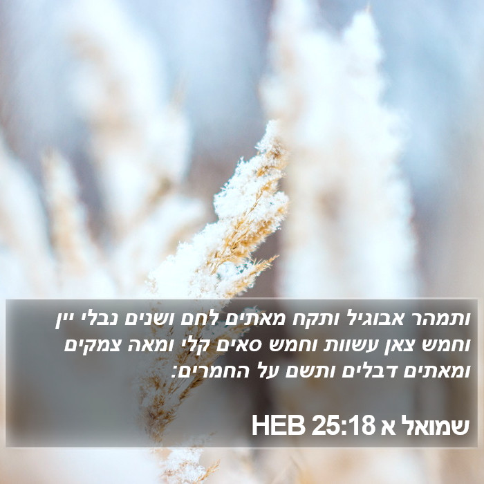 שמואל א 25:18 HEB Bible Study