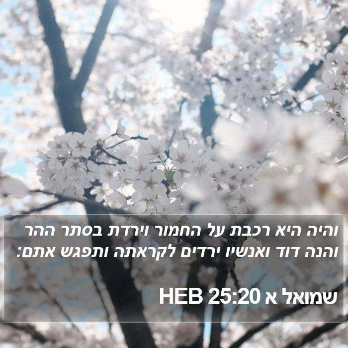 שמואל א 25:20 HEB Bible Study