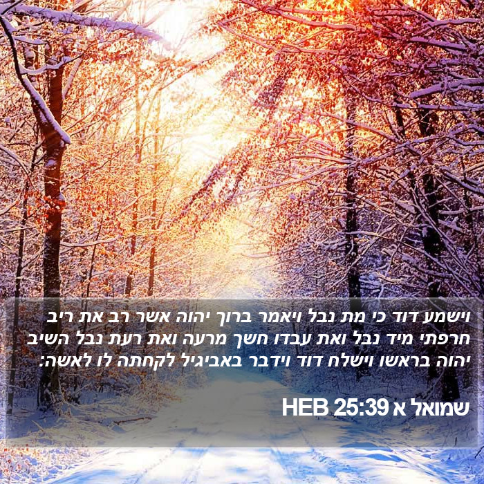 שמואל א 25:39 HEB Bible Study