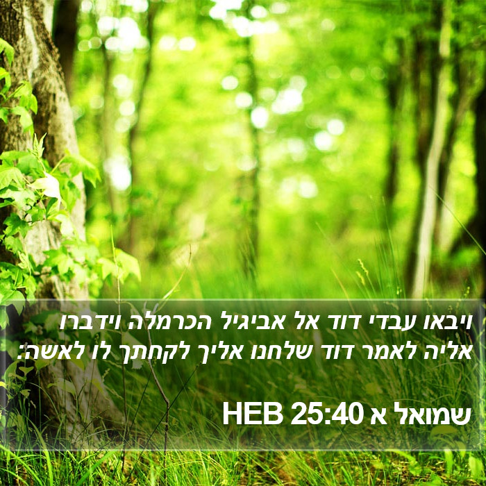 שמואל א 25:40 HEB Bible Study