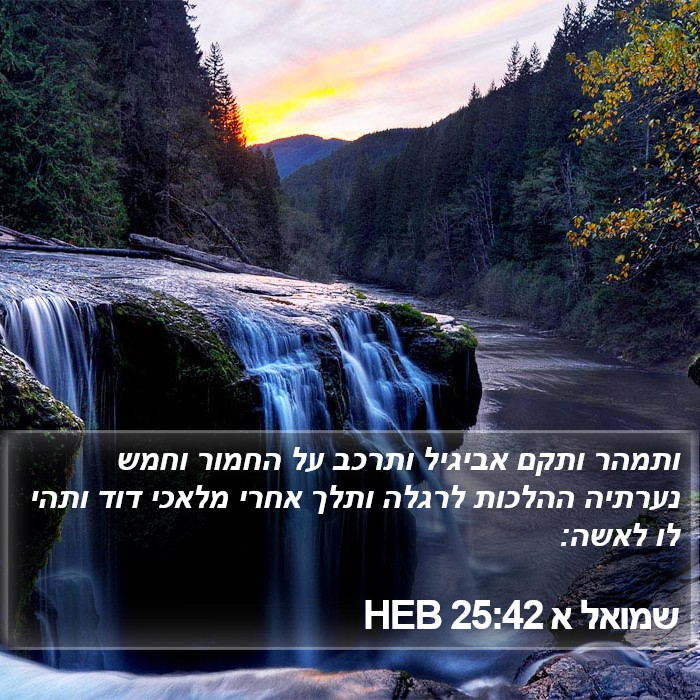 שמואל א 25:42 HEB Bible Study