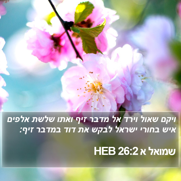 שמואל א 26:2 HEB Bible Study