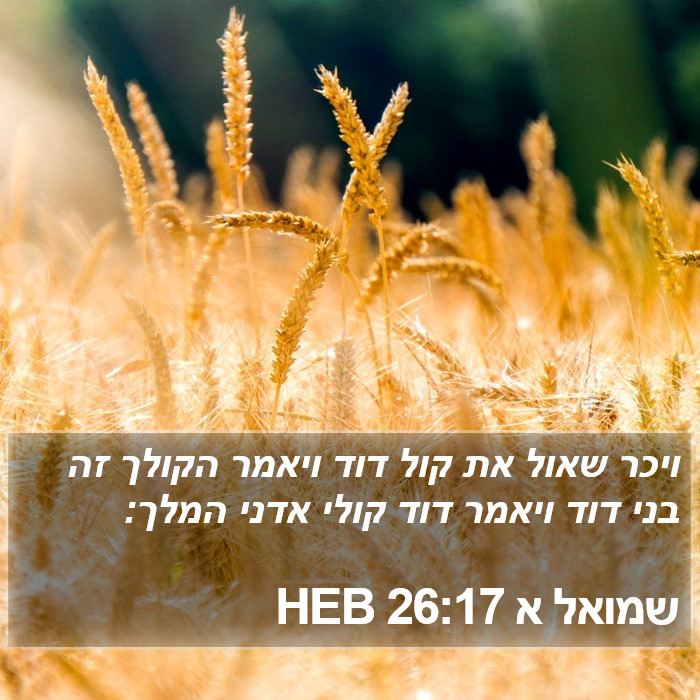 שמואל א 26:17 HEB Bible Study