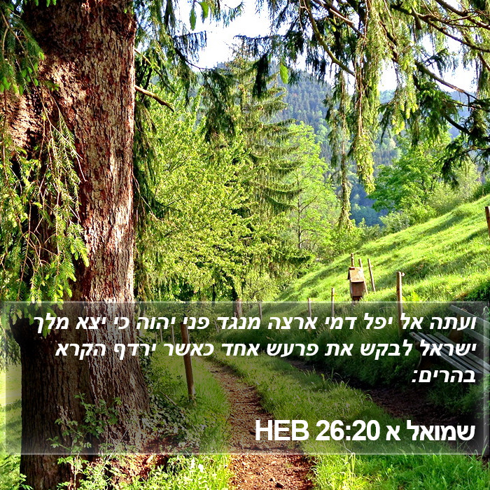 שמואל א 26:20 HEB Bible Study