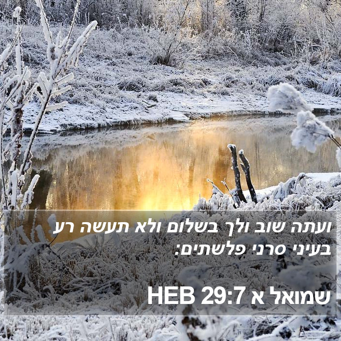 שמואל א 29:7 HEB Bible Study