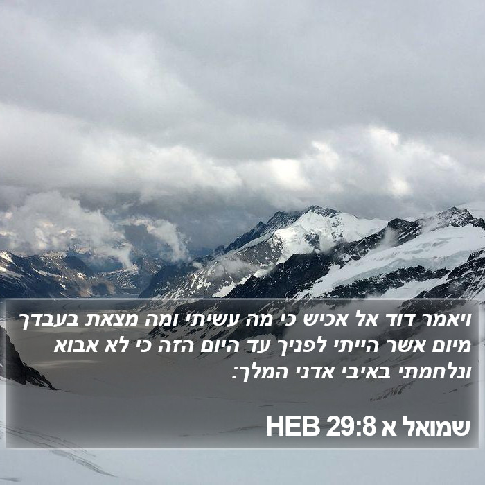 שמואל א 29:8 HEB Bible Study