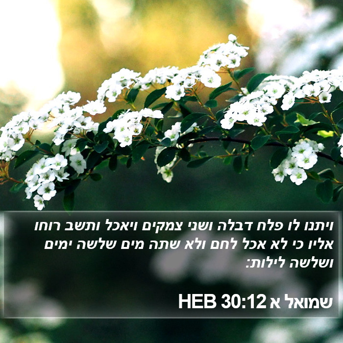 שמואל א 30:12 HEB Bible Study