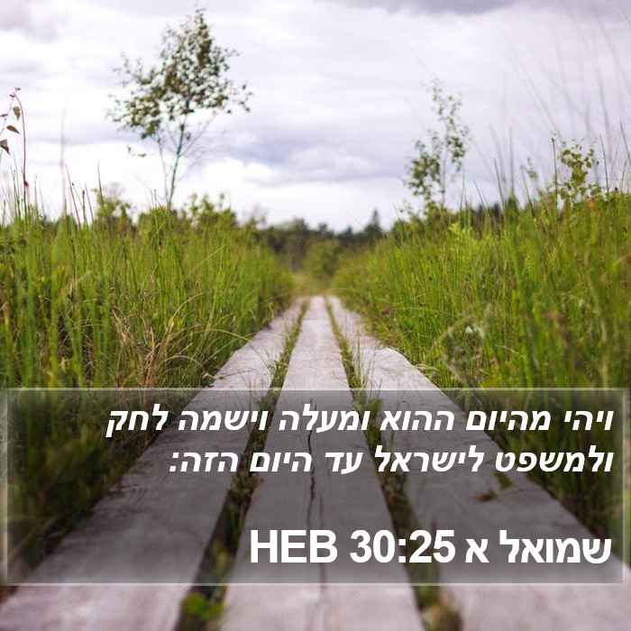 שמואל א 30:25 HEB Bible Study