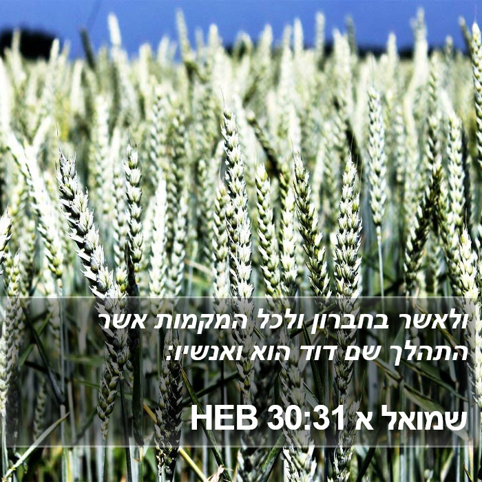 שמואל א 30:31 HEB Bible Study