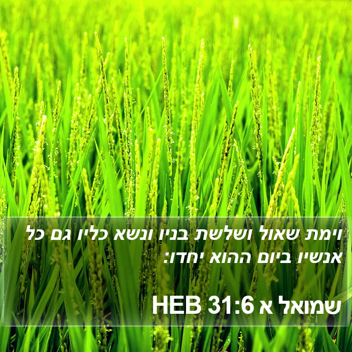 שמואל א 31:6 HEB Bible Study