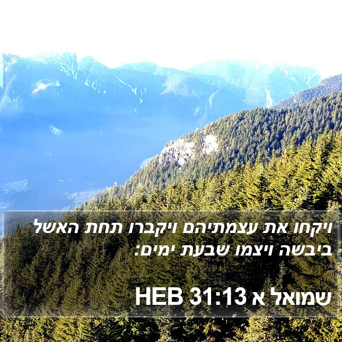 שמואל א 31:13 HEB Bible Study