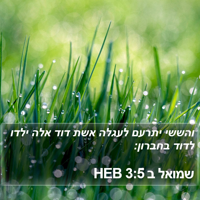 שמואל ב 3:5 HEB Bible Study