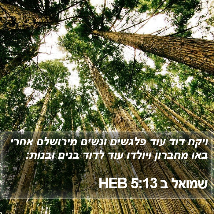 שמואל ב 5:13 HEB Bible Study