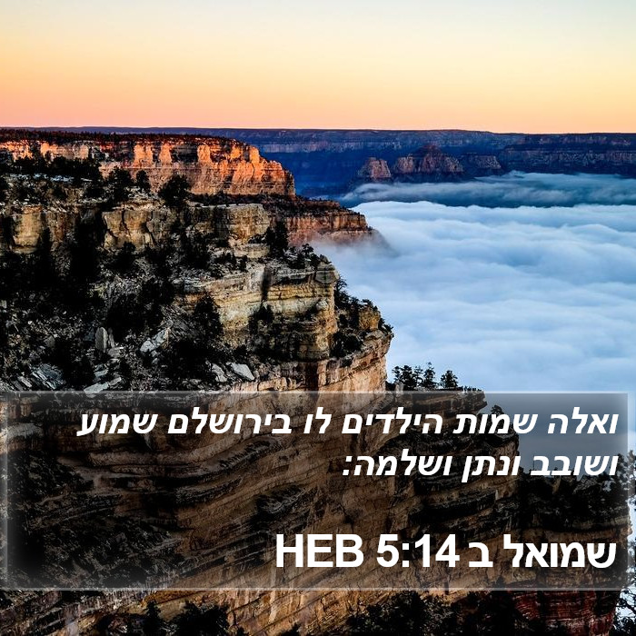 שמואל ב 5:14 HEB Bible Study