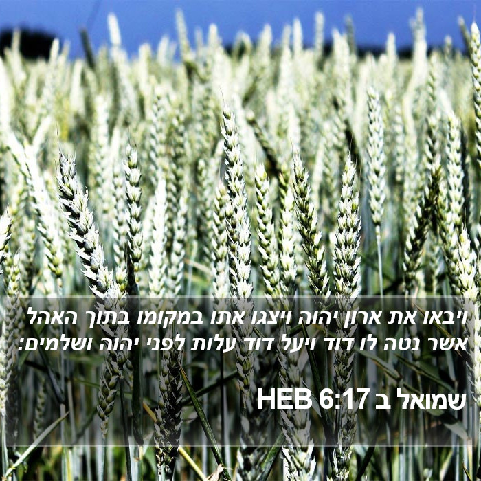 שמואל ב 6:17 HEB Bible Study