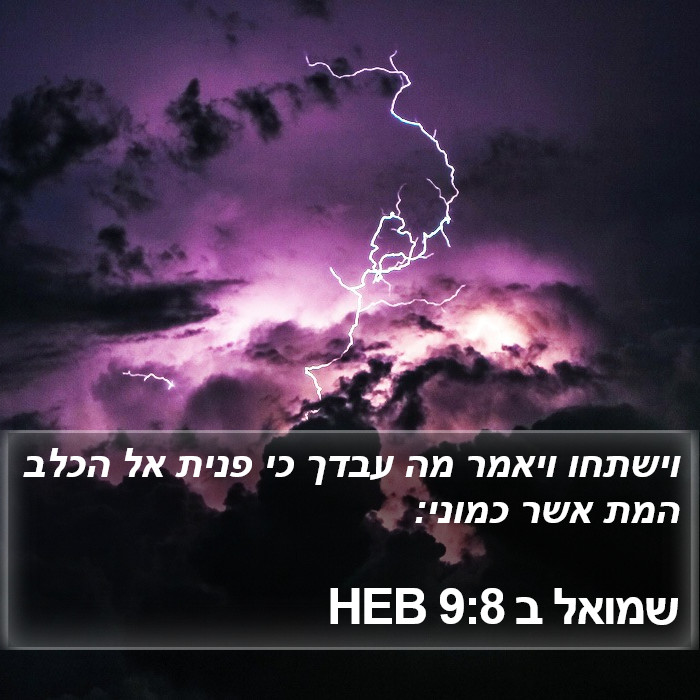 שמואל ב 9:8 HEB Bible Study